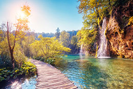 Hypnotherapy